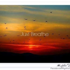 Meet your Posher, Chastity